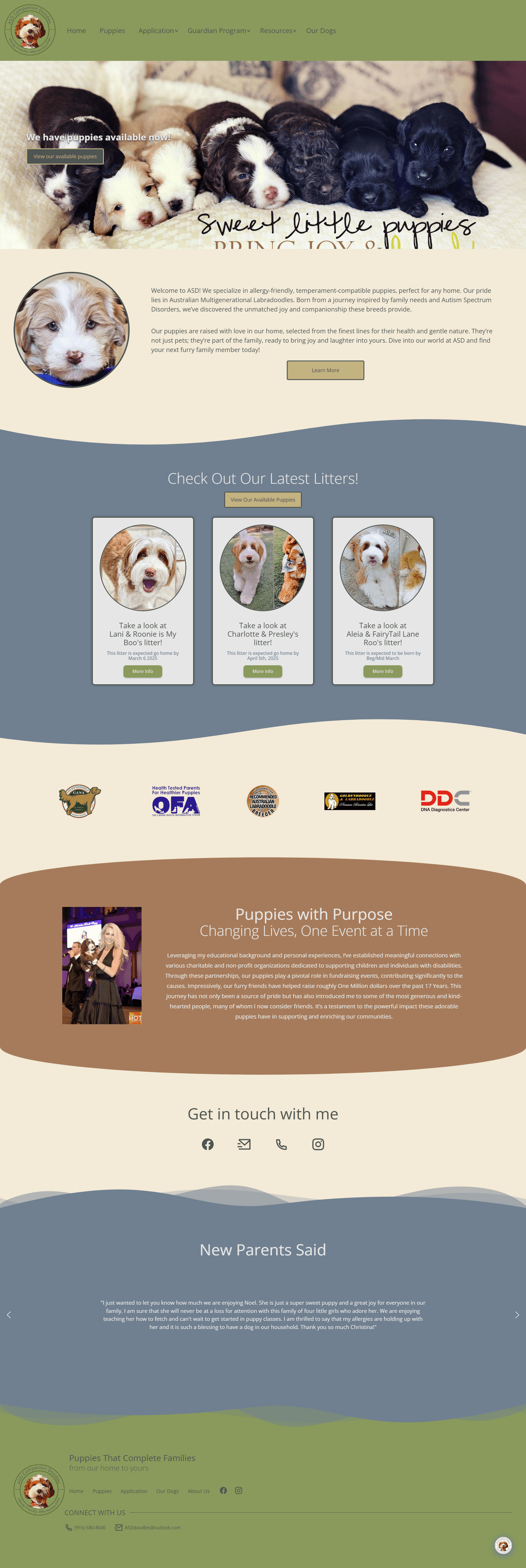 ASD Companion Labradoodles